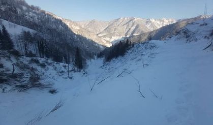 Artvin’de yoğun kar yağışının ardından bu kez çığ tehlikesi baş gösterdi