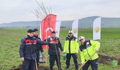 Balıkesir’de ağaçlandırma çalışmaları devam ediyor