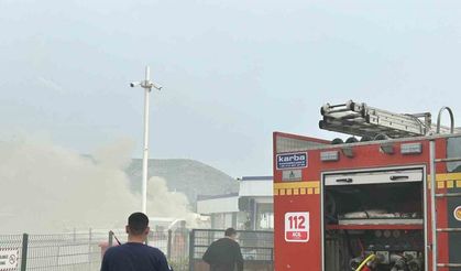 Bodrum’da milyon dolarlık motoryat alev alev yandı