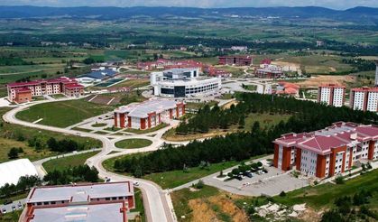 Kastamonu Üniversitesi, kenelerden büyükbaş hayvanlara bulaşan hastalıkları araştıracak