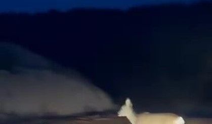 Köy yolundaki karaca kamerada