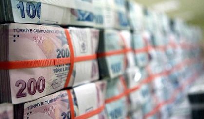 Hazine ve Maliye Bakanlığı Ocak Bütçe Rakamlarını Paylaştı