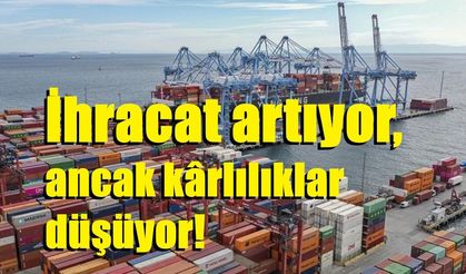 İhracat artıyor, ancak kârlılıklar düşüyor