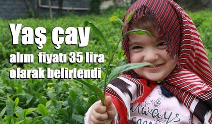 Yaş çay alım fiyatı 35 lira olarak belirlendi