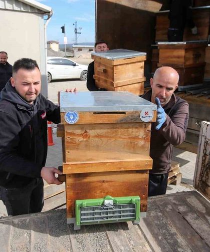 Kırsal üretime kovan desteği