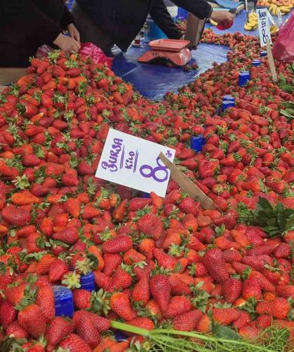 80 TL’lik çileğe yoğun ilgi