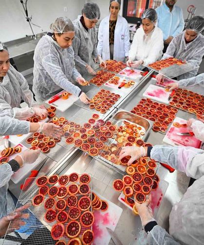 Mersin’de kan portakalı kadınların elinde değer kazanıyor