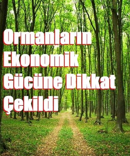 Ormanların Ekonomik Gücüne Dikkat Çekildi