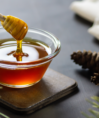 Türk Çam Balı Premium Lige Yükseliyor: 24 Aylık Ar-Ge Hamlesi Başlıyor