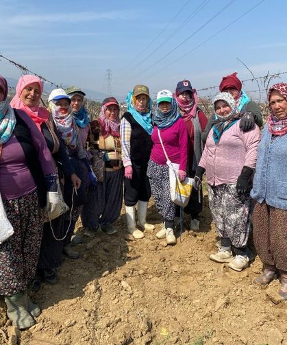 Yağışa teslim olan bağlar ayağa kalktı
