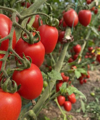 ATB mart ayı hal endeksini açıkladı