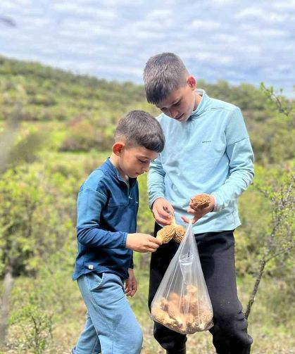 Demirci dağlarında 2 bin liralık kuzu göbeği mesaisi
