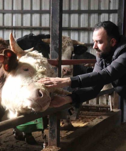 Kurbanlık alışverişinde erken alım hareketliliği