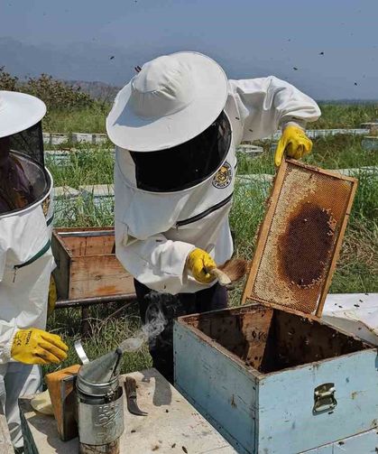 Kuyucak’tan dünyaya kovan ihracatı