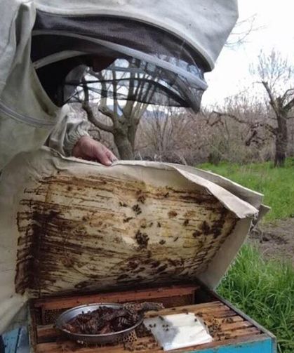 Kars’ta dede mesleği yaşatılıyor: Arıcılık sezonu başladı