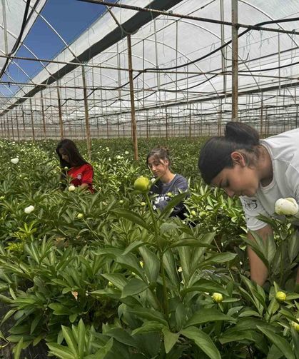 Tanesi toptancıya 150 TL’den satılıyor, Türkiye’nin 81 iline gönderiliyor