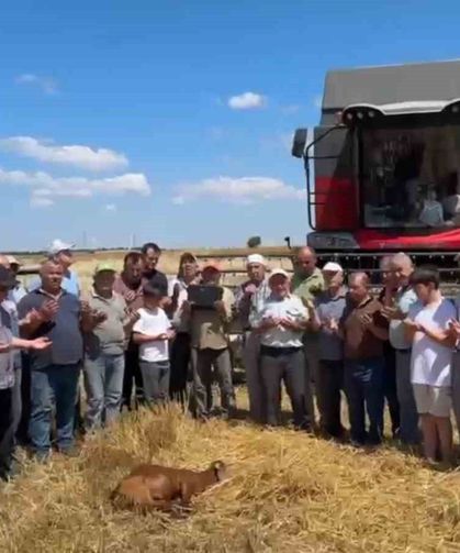 Edirne’de buğday hasadı dualarla başladı