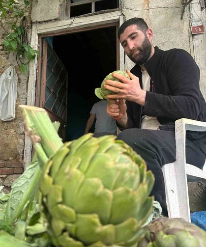 Enginar soyarak ayda 240 bin lira kazanıyor