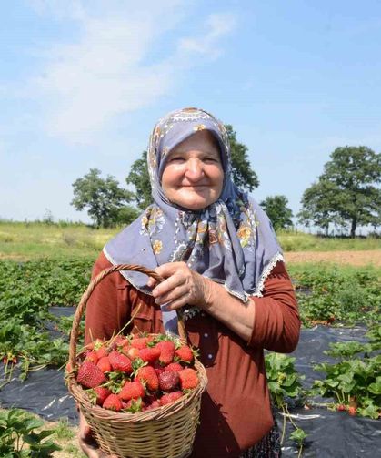 Hobi olarak 2 dönümde başladı, üretimi şimdi 42 dönüme çıktı