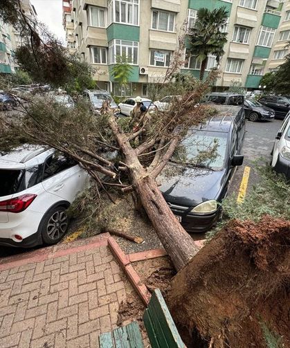 İstanbul’da fırtına etkili oldu, ağaçlar devrildi
