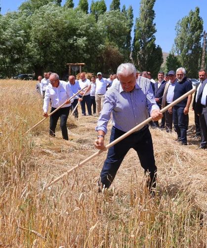 Binali Yıldırım Harman Şenliği’nde tırpan salladı