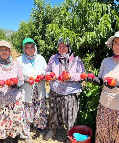 İznikli nektarin üreticisinden fiyat tepkisi
