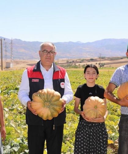 Elazığ’da kabak hasadı başladı: 4 bin tonun üzerinde rekolte bekleniyor