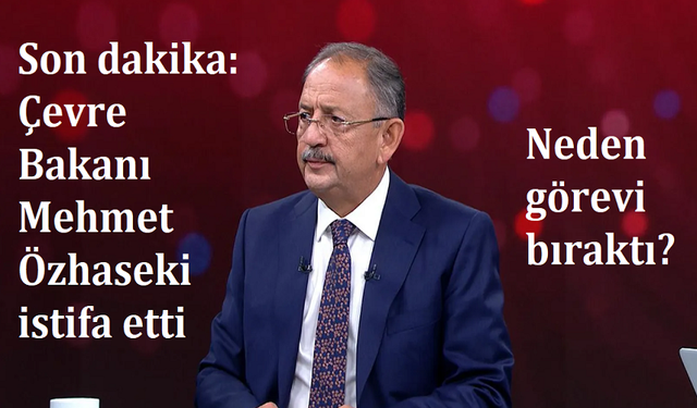 Son dakika: Çevre Bakanı Mehmet Özhaseki istifa etti