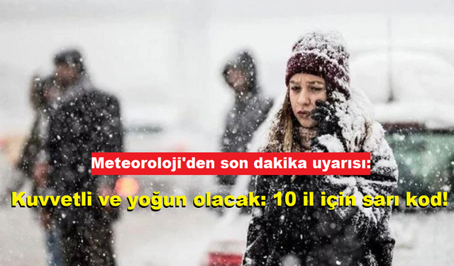 Meteoroloji'den 10 il için sarı kodlu uyarı: Kar yağışı 10 santimi bulacak