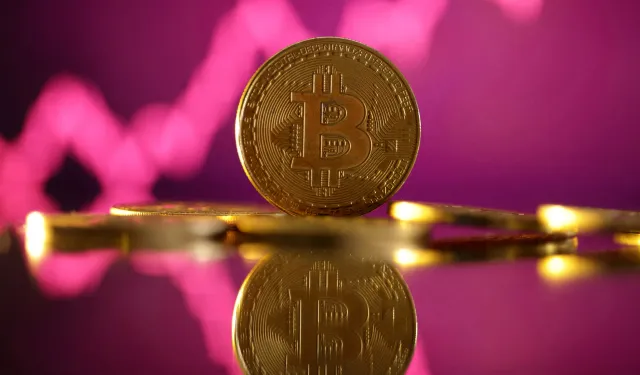 2025’te Bitcoin’in zirve yolculuğuna volatilite eşliği