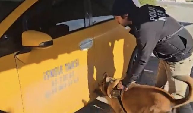 Durdurulan ticari taksiden 5 kilogram 50 gram skunk ele geçirildi