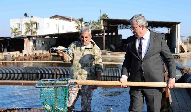 İç piyasada tüketilmeyen mavi yengece yurt dışı talebi