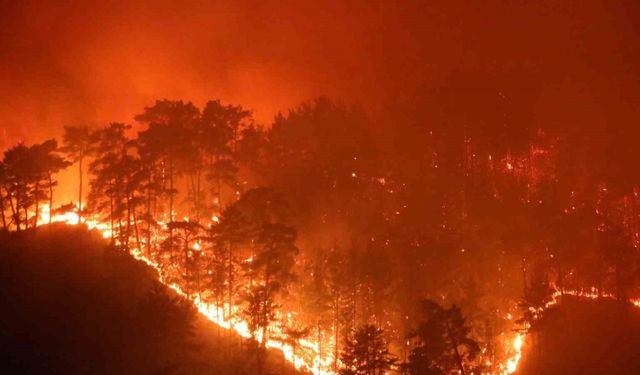 Muğla’da yaz sezonunda günde ortalama 6 yangına müdahale edildi