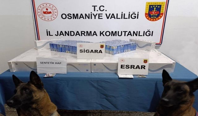 Osmaniye’de jandarma son bir haftada 107 kişi yakalandı