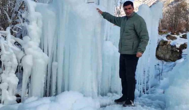 Ağaçta oluşan sarkıtlar travertenleri andırdı