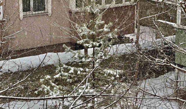 Ağrı yeniden beyaza büründü