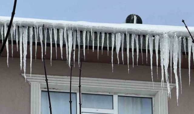 Ağrı’da dondurucu soğuklar etkisini sürdürüyor