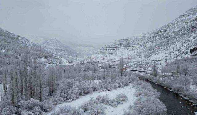 Bal ormanlarında kış güzelliği havadan görüntülendi