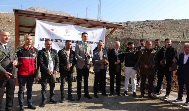 Batman’da 10 bin adet zeytin fidanı dağıtıldı