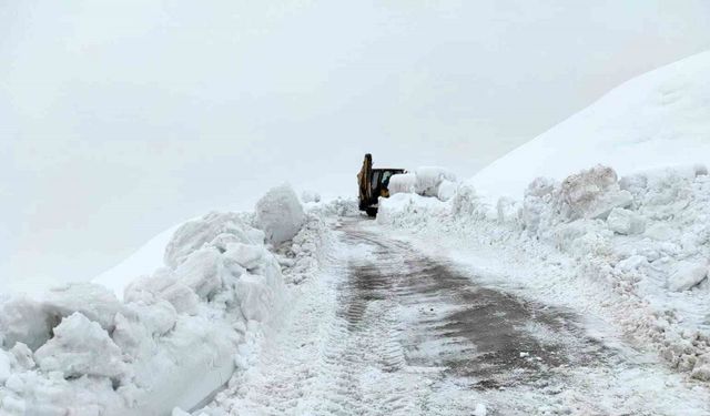 Batman’da karla kaplı köy yolları ulaşıma açıldı