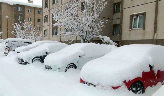 Bitlis kara gömüldü