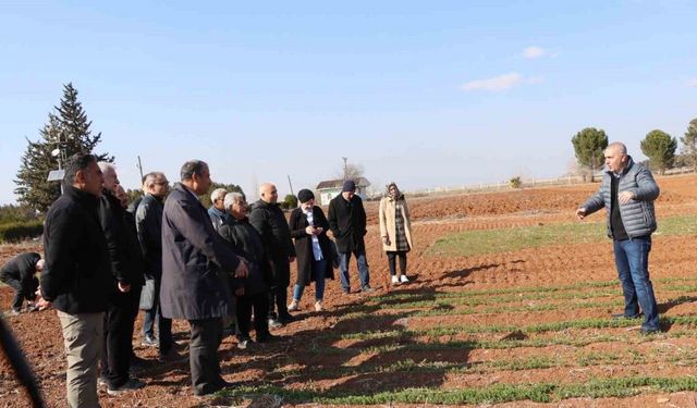 Büyükşehir Belediyesi’nden çiftçilere anıza ekim yöntemleri eğitimi