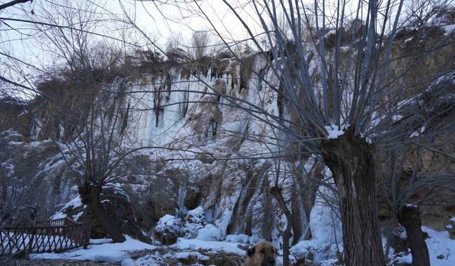 Buz tutan Girlevik Şelalesi’nde 2 metrelik buz sarkıtları oluştu