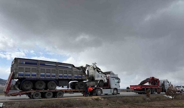 Devrilen tırda 25 ton büyükbaş hayvan yeni çevreye saçıldı