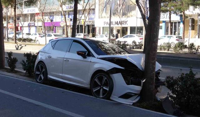 Direksiyon hakimiyetini kaybeden sürücü ağaca çarpıp durdu