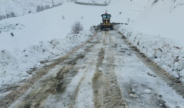 Diyarbakır’da 69 kırsal mahallenin yolu ulaşıma açıldı