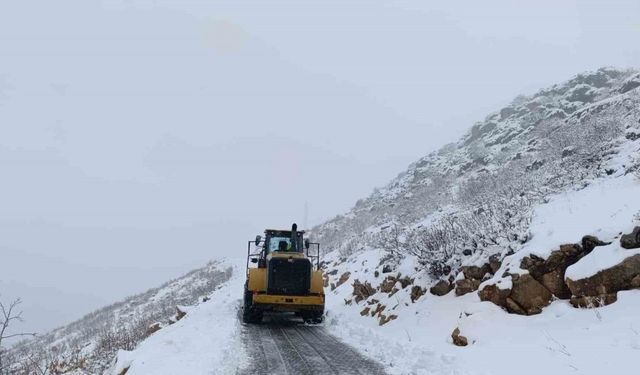 Diyarbakır’da karla kaplı 165 kilometre yol ulaşıma açıldı