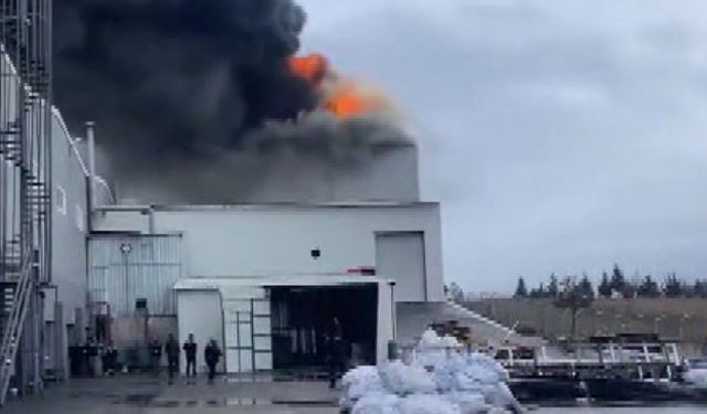 Edirne’de fabrika yangını