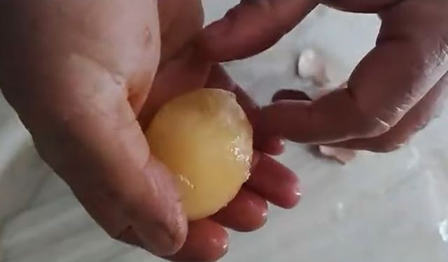 Elazığ’da yumurtalar soğuktan dondu