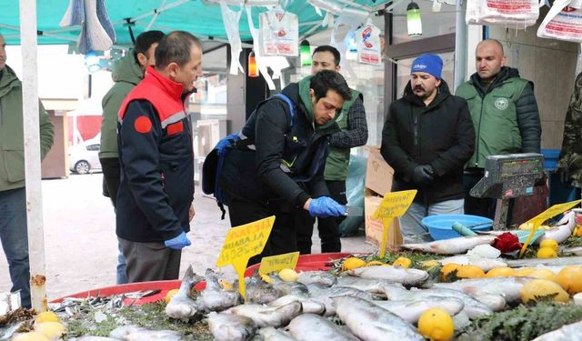 Erzincan’da balık denetimi gerçekleştirildi
